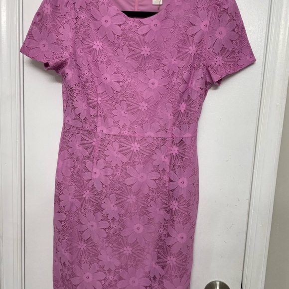 Rachel Parcell  Cap Sleeve Lace Sheath Dress- Size Small - Picture 2 of 6